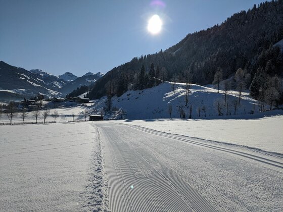 Stadtloipe Kitzbühel-Aurach-Jochberg Präparierte Langlaufloipe in einer verschneiten Winterlandschaft unter blauem Himmel mit Sonne.