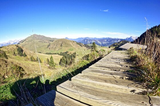 Wanderweg Horn Südberge Holzstufen auf einem Bergpfad mit Blick auf grüne Almen und entfernte Berggipfel unter blauem Himmel.