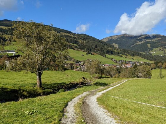 Jochberger Wasserweg Ein geschotterter Wanderweg führt über grüne Wiesen auf ein Dorf und bewaldete Berge zu.