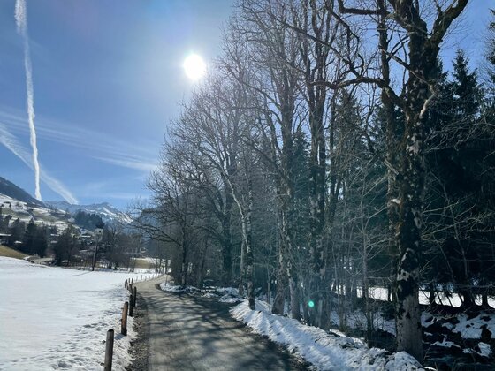 Geräumter Winterwanderweg neben einer Baumreihe bei Sonnenschein.