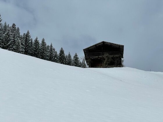 Holzhütte auf einem verschneiten Hang vor einem Nadelwald unter bewölktem Himmel.