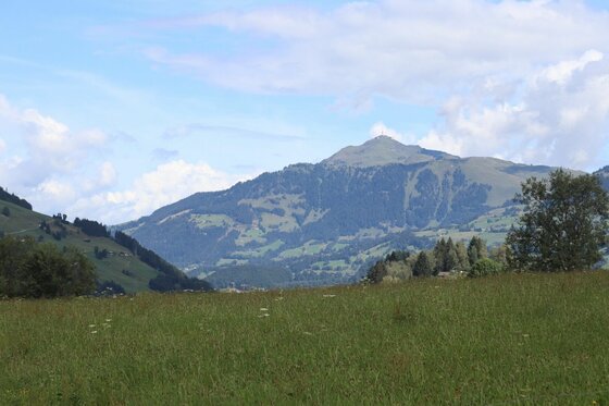 Blick auf das Leukental Blick über eine grüne Wiese auf bewaldete Berge unter leicht bewölktem Himmel.