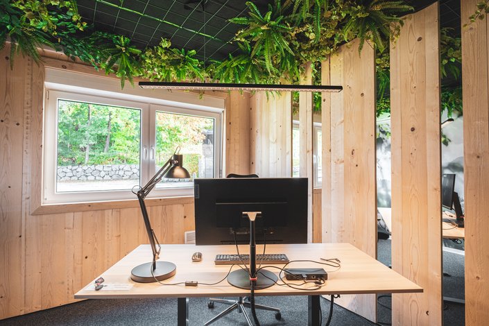 Modernes Büro aus Holz mit viel Grün