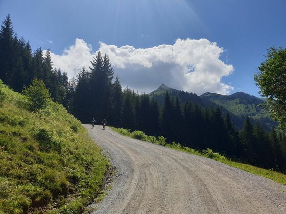 Mountainbikestrecke zur Kandleralm Zwei Mountainbiker auf einem breiten Schotterweg in einer alpinen Waldlandschaft unter blauem Himmel.