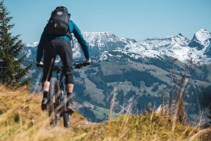 Biker in front of mountain panorama