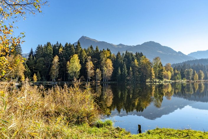 Herbstlandschaft mit See