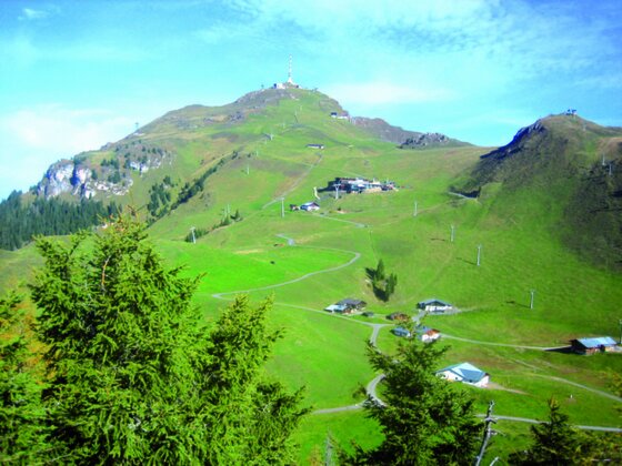 Alpenhaus und Raintal-Almen Grüner Berghang mit Wanderwegen, Almhütten und einer Sendeanlage auf dem Gipfel unter blauem Himmel.