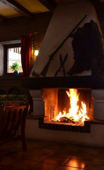Kamin2