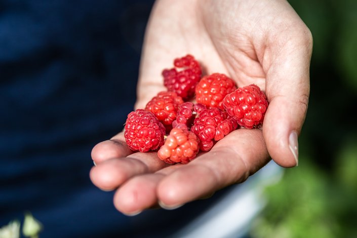 Echte Handarbeit am Maurachhofladen.