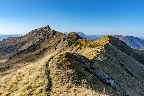 Wanderweg am Bischof Schmaler Wanderpfad auf einem grasbewachsenen Bergrücken mit Blick auf felsige Gipfel unter blauem Himmel.