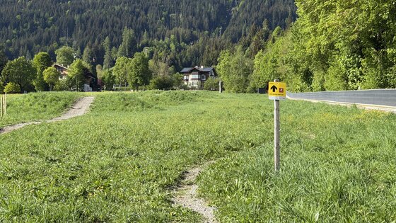 Mocking Uphill Trail Wegweiser Ein schmaler Schotterweg führt über eine grüne Wiese zu einem gelben Wegweiser für den Mocking Uphill Trail.