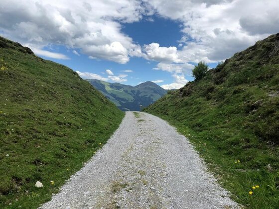 Schotterweg bei der Wiegalm Ein geschotterter Bergweg führt zwischen grünen Hängen hindurch auf ein Bergpanorama unter bewölktem Himmel zu.