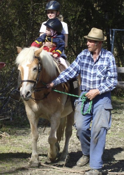 Kinder beim Haflinger-Reiten