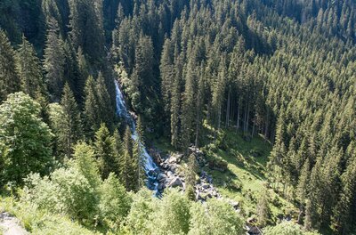 Luftaufnahme eines schmalen Wasserfalls inmitten eines dichten Nadelwaldes.
