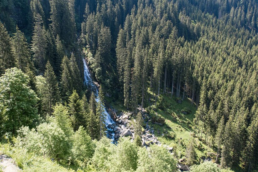 Wasserfall an der Wildalmschleife Luftaufnahme eines schmalen Wasserfalls inmitten eines dichten Nadelwaldes.