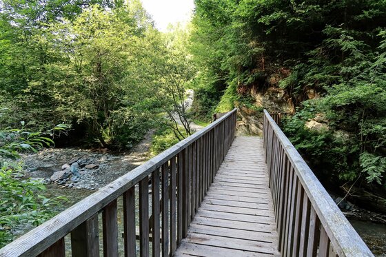 Holzbrücke am Auberg Trail Schmale Holzbrücke mit Geländer über einen Bachlauf in einem Waldstück.