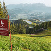 Eine geführte Wanderungen der Bergbahnen Kitzbühel