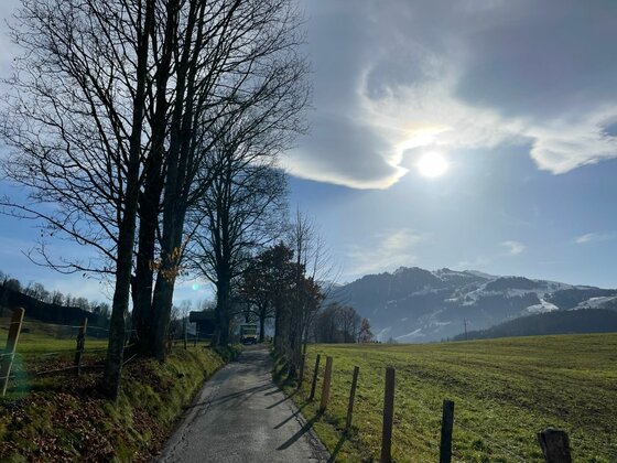 Wanderweg bei der Kitzbüheler Runde Ein asphaltierter Weg führt zwischen Bäumen und Weidezäunen auf verschneite Berge zu.