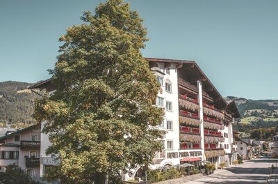 Mehrstöckiges Hotelgebäude mit Blumenbalkonen neben einem großen Laubbaum vor bewaldeten Bergen.