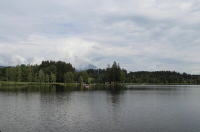 Seeufer der Hörpfing Runde Blick über einen ruhigen See auf ein bewaldetes Ufer unter bewölktem Himmel.