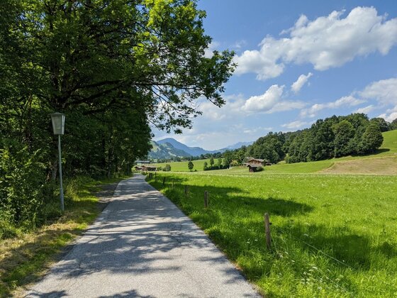 Wanderweg bei Aurach Asphaltierter Wanderweg führt zwischen einer Baumreihe und grünen Wiesen in Richtung Berge.