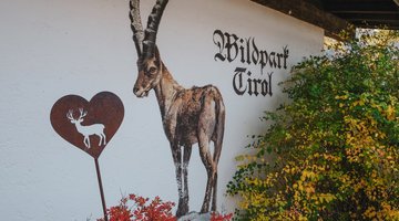 Wall with animal
