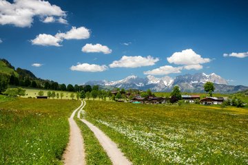 Weg durch Felder
