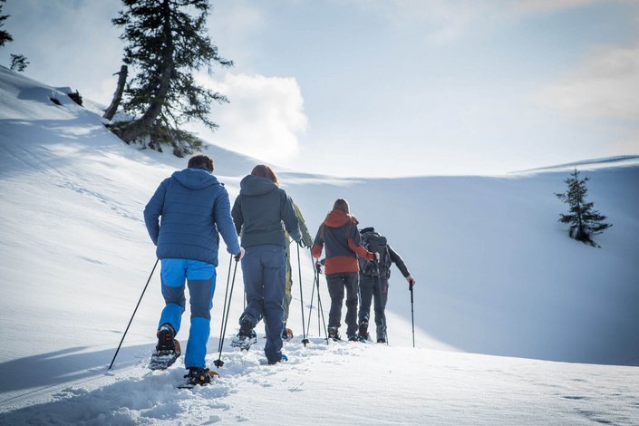 Schneeschuh Wanderer 