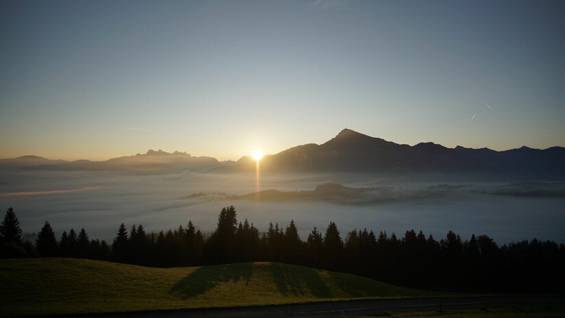 Sonnenaufgang über einer Bergkette mit Nebel im Tal und Nadelwald im Vordergrund.