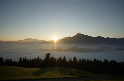 Bergausblick ostwärts am Wandhof Sonnenaufgang über einer Bergkette mit Nebel im Tal und Nadelwald im Vordergrund.