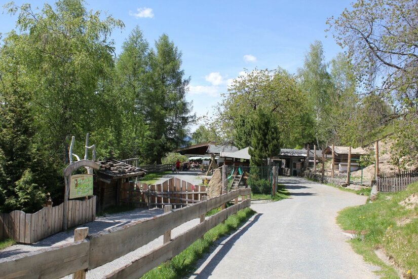 Ein asphaltierter Weg führt an einem Holzzaun und Bäumen vorbei zu den Gebäuden eines Wildparks.