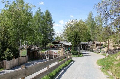 Ein asphaltierter Weg führt an einem Holzzaun und Bäumen vorbei zu den Gebäuden eines Wildparks.