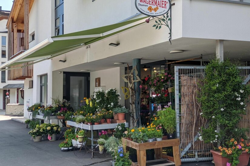 Außenansicht des Blumengeschäfts Wagermaier mit zahlreichen Topfpflanzen unter einer grünen Markise.