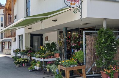 Außenansicht des Blumengeschäfts Wagermaier mit zahlreichen Topfpflanzen unter einer grünen Markise.