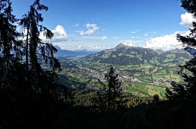 Aussicht vom Rechegg Blick durch Nadelbäume auf ein bewohntes Tal und bewaldete Berge unter blauem Himmel.