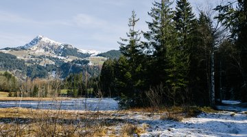 Schwarzsee