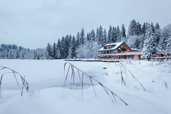 Ein malerisches Haus am Rand eines zugefrorenen Sees, umgeben von verschneiten Tannen. Die Winterlandschaft strahlt Ruhe und Idylle aus.