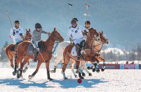 [Translate to EN:] Snow Polo Spieler a, Pferd im Schnee