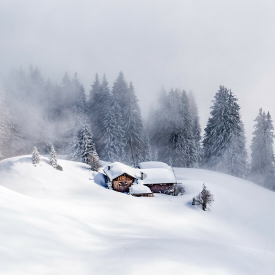 Freeriding: Experience the thrill of powder skiing in Kitzbühel
