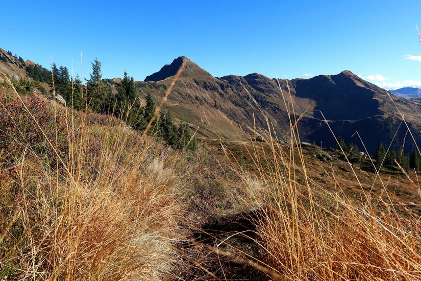 Berggipfel King Blick durch hohes, trockenes Gras auf einen markanten Berggipfel unter blauem Himmel.