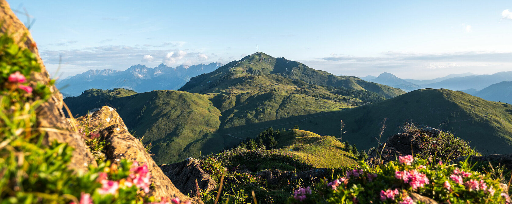 Bunte Blumen blühen im Vordergrund, während sanfte Hügel und majestätische Berge im Hintergrund unter einem klaren Himmel liegen.