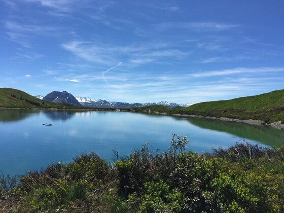 Bergsee am Saukaser-Pengelstein Ein blauer Bergsee umgeben von grünen Hängen und schneebedeckten Gipfeln unter blauem Himmel.