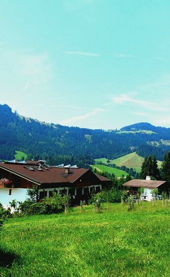 Ansicht Sommer