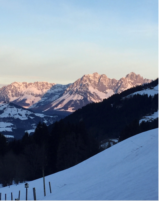 Ausblick auf das Kaisergebirge Verschneite Bergkette im Abendlicht hinter einem dunklen Waldhang.