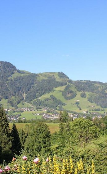 BlickaufKitzbühel