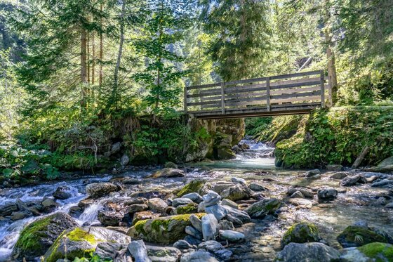 Holzbrücke am Gebirgsbach Holzbrücke über einen steinigen Gebirgsbach in einem Wald.