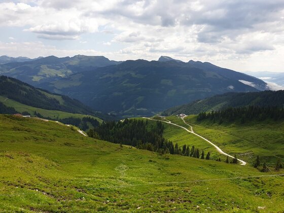 Blick über grüne Almwiesen auf einen geschotterten Wanderweg und bewaldete Berge unter bewölktem Himmel.