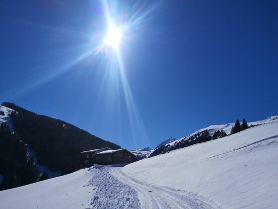 Bruggeralm im Winter Verschneiter Weg führt zu einer Holzhütte unter strahlender Sonne in einer alpinen Winterlandschaft.