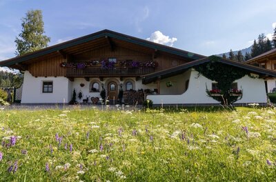 Sommer Hausansicht Ferienwohnung Hauser Alpines Wohnhaus mit Holzbalkon und Blumenkästen hinter einer blühenden Wiese.