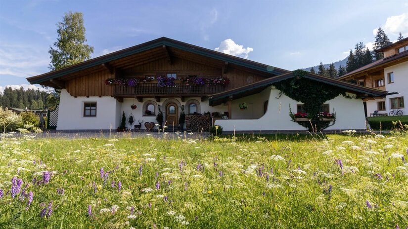 Alpines Wohnhaus mit Holzbalkon und Blumenkästen hinter einer blühenden Wiese.